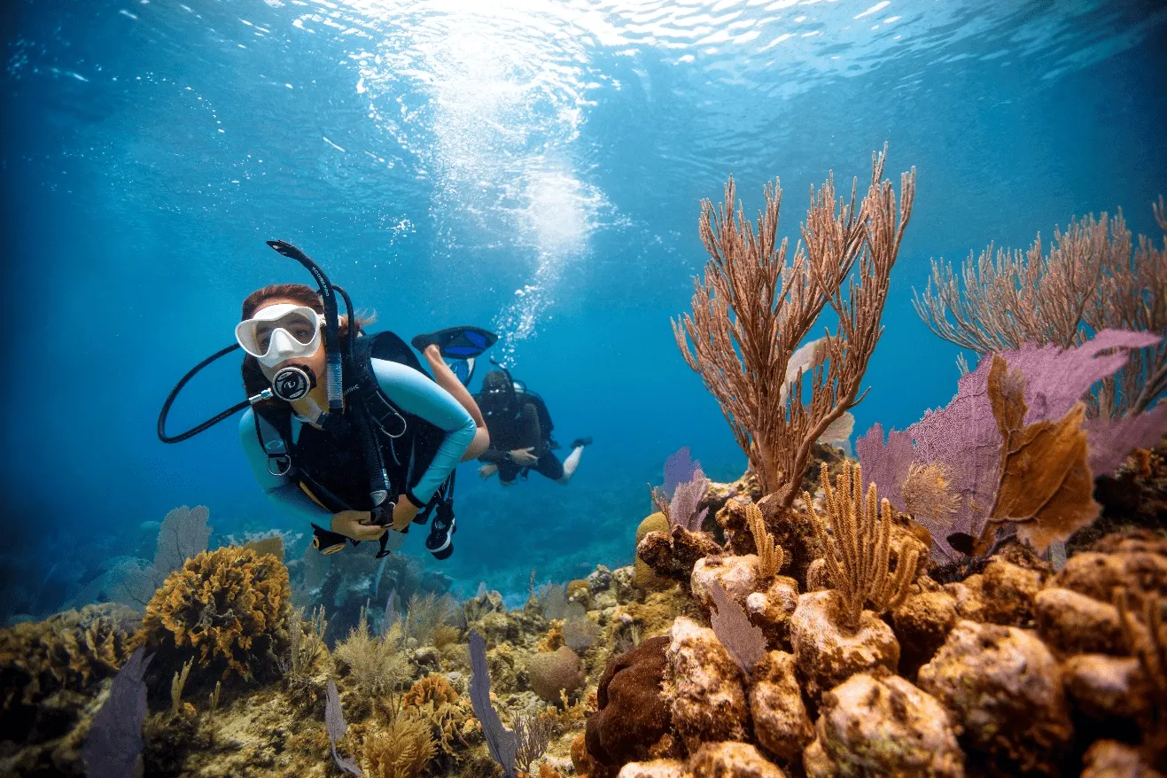 Diving
