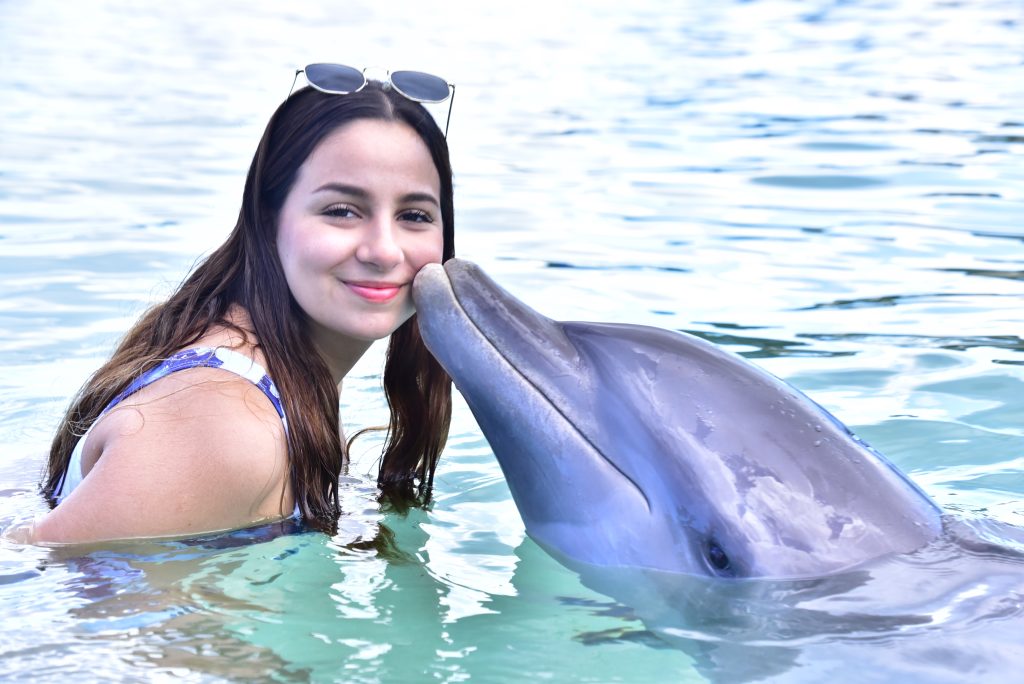 Dolphins Encounter
